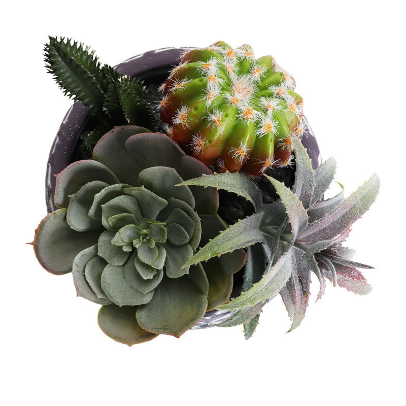 Plante grasse artificielle 7 po en pot
