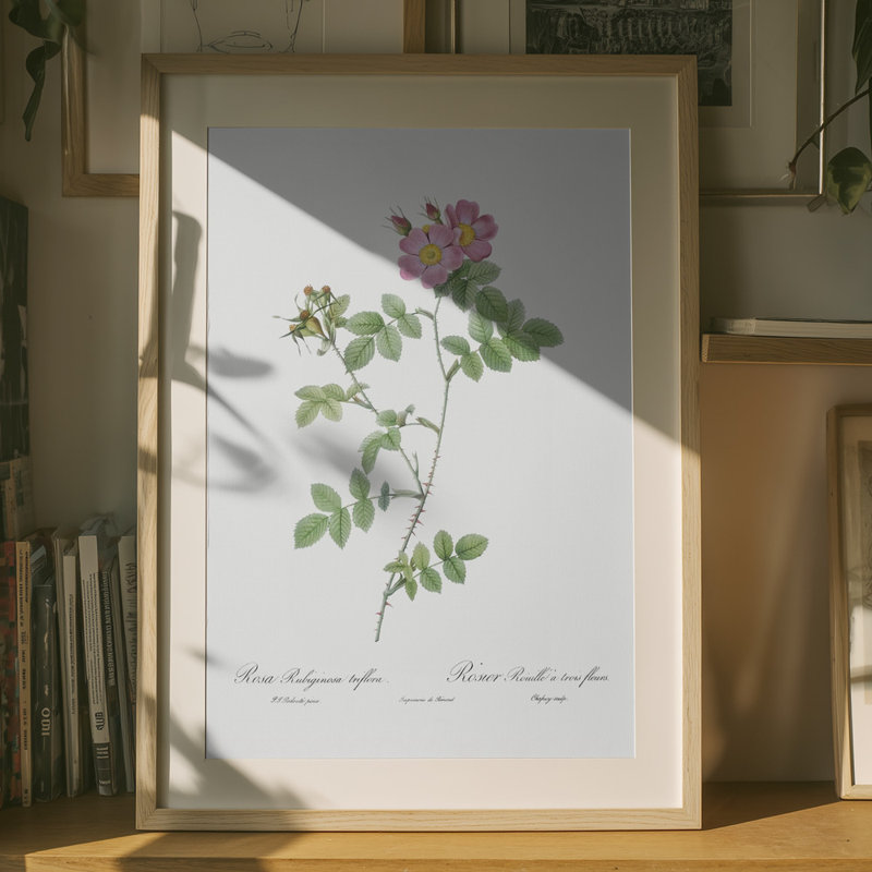 Wrapped Canvas Print, 76.2cm H x 50.8 cm W