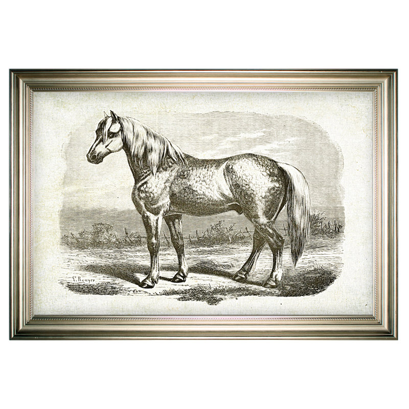 « équin sketch viii », impression, Cadre argenté, H 30 po x l 42 po x P 2 po, Pas de tapis