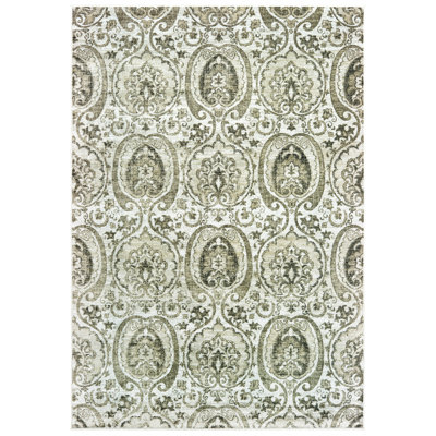 Hudson Oaks Oriental Indoor Rug