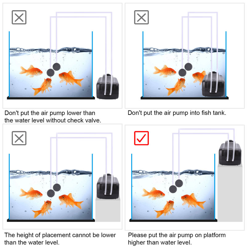 Pompe à air d'aquarium