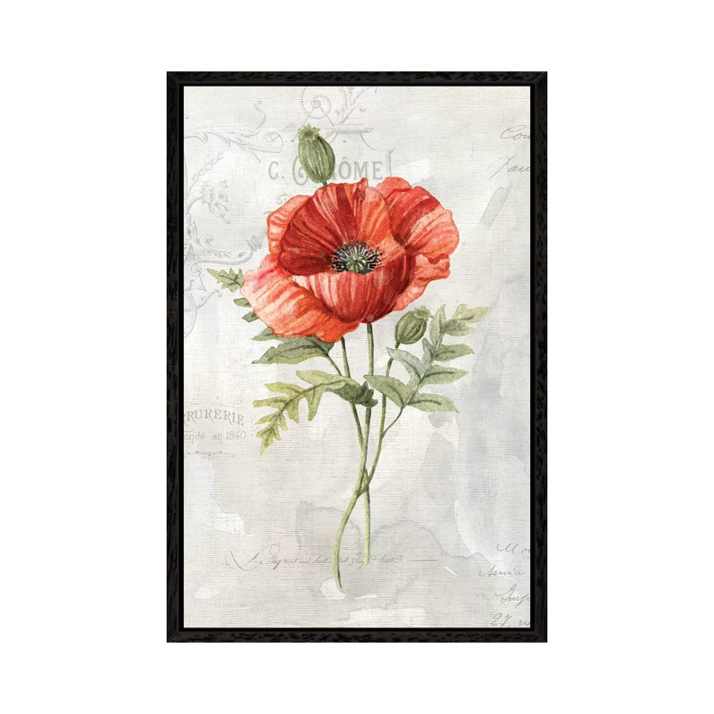 Linen Poppy by Carol Robinson - Print on Canvas, Black Framed, 152.5 cm H x 101.5 cm W