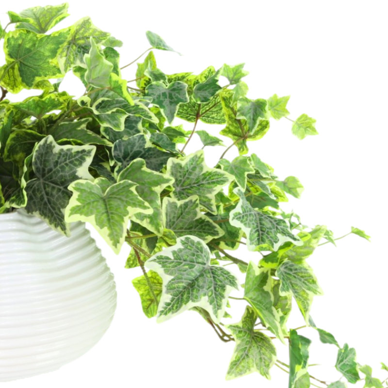 Jenner Faux Ivy Plant in Glass Vase