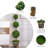 48'' Faux Boxwood Topiary in Cement Pot