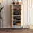 Modern Shoe Cabinet with Wall-Mount Option, Travertine Color, 23.6 x 43.7 x 13.8 inches | 100% Melamine Coated Particle Board, Metal Legs, Plastic Handle | Numerous Shelves for Stylish Shoe Storage