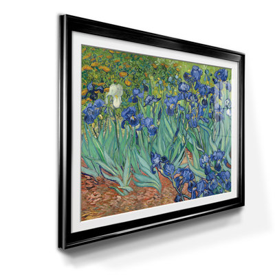 " Irises "