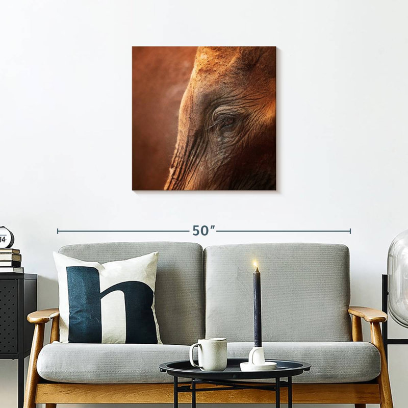 Brampt Elephant Lashes, 24" H x 24" W