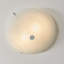 Shoop 1-Light 43cm Flush Mount