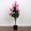 Lilas en pot - moyen-1640272737