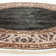 Alfa Rich Clorene Ultra-Thin Oriental Beige Green Washable Non-Slip Area Rugs for Living Room