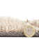 Noble House area rug Hand Tufted Rectangle Brown
