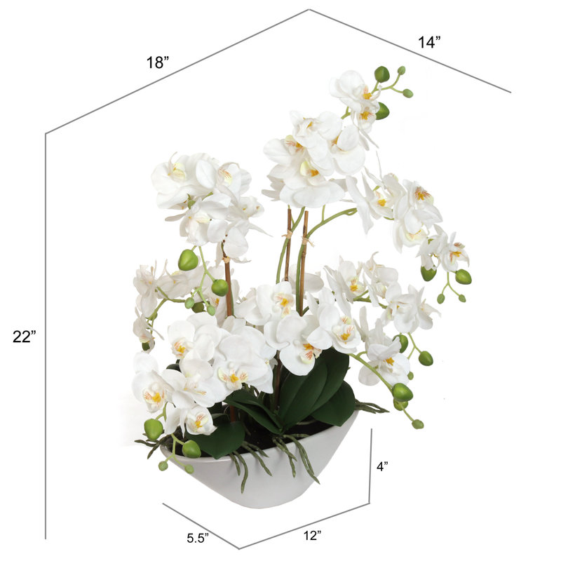 Fleurs réalistes d'orchidées phalaenopsis blanches 18 po dans un vase en céramique blanche