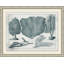 Aquatic Specimines 3 Print