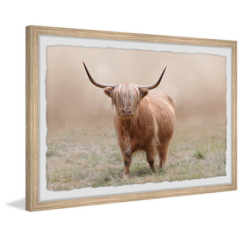 Foggy Pasture - Single Picture Frame Print, 20cm H x 30cm W x 3.81cm D