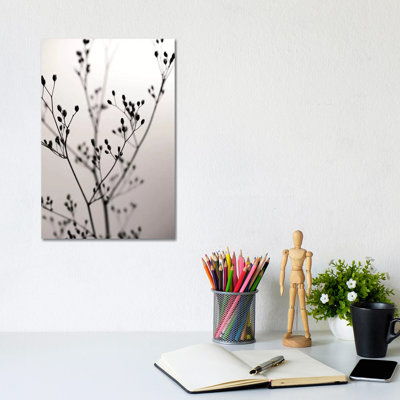 Wildflower Dark Velvet I by Monika Strigel - Wrapped Canvas Painting