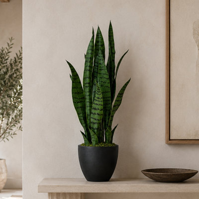 70cm Faux Yucca Tree in Pot Liner