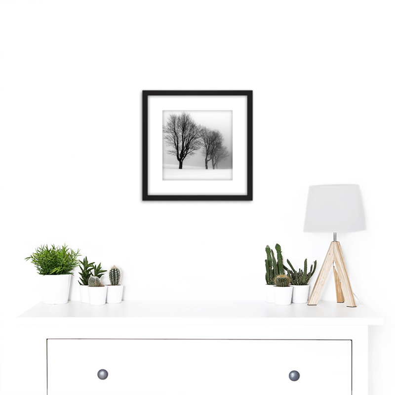 Stemberovi Trees Winter Mist Black White - Single Picture Frame Painting