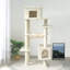 Arbre à chat multi-niveaux 63 pouces-1111837124