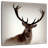 Crowle Red Deer Stag-109399963
