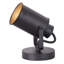 Projecteur polyvalent