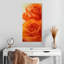 Roses classiques-1881886956