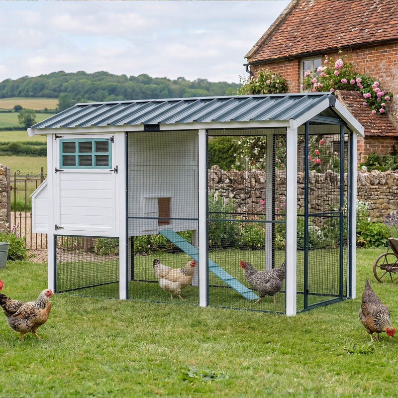 Grand poulailler avec parc couvert pour 8 à 10 poulets Chateau