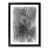 Black Framed selected