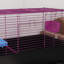Small Animal Cage
