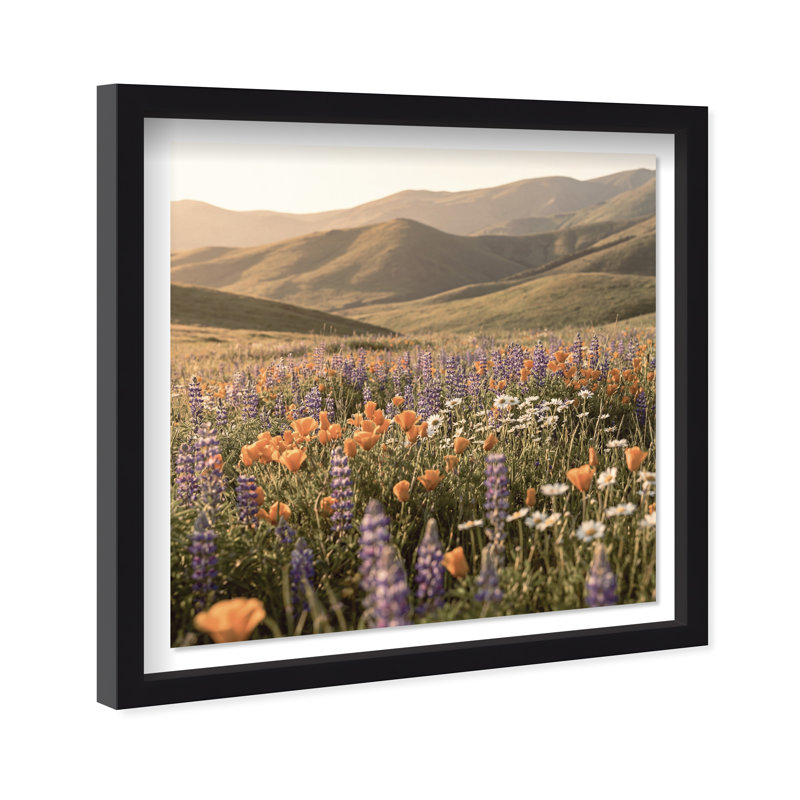 Lavender Hill Print by Oliver Gal, 21.5"H x 21.5"W, Black Shadowbox