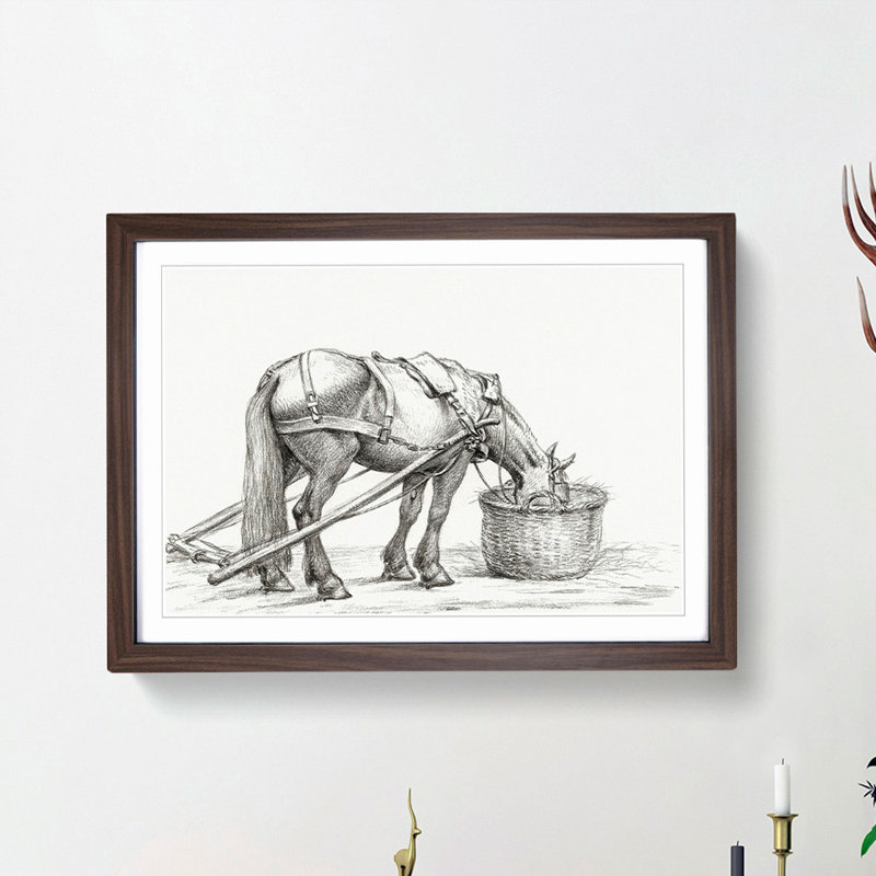 Horse Drinking by Jean Bernard - Picture Frame Drawing Print, 48cm H x 65cm W x 2cm D, Walnut Framed