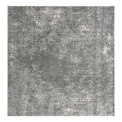 Janousek Oriental Gray Area Rug