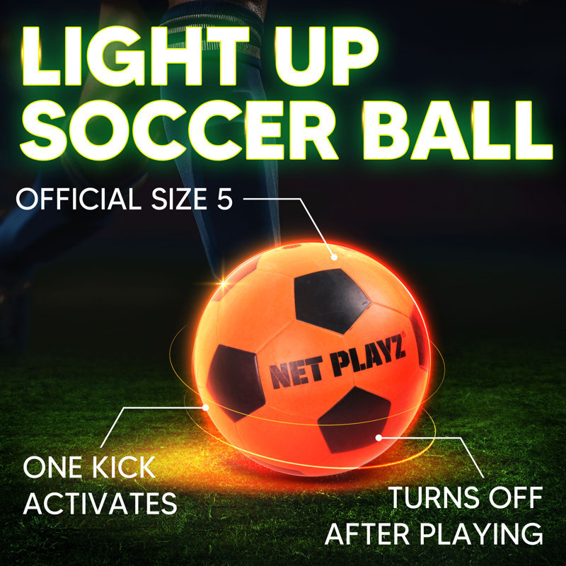 Net Playz Goal