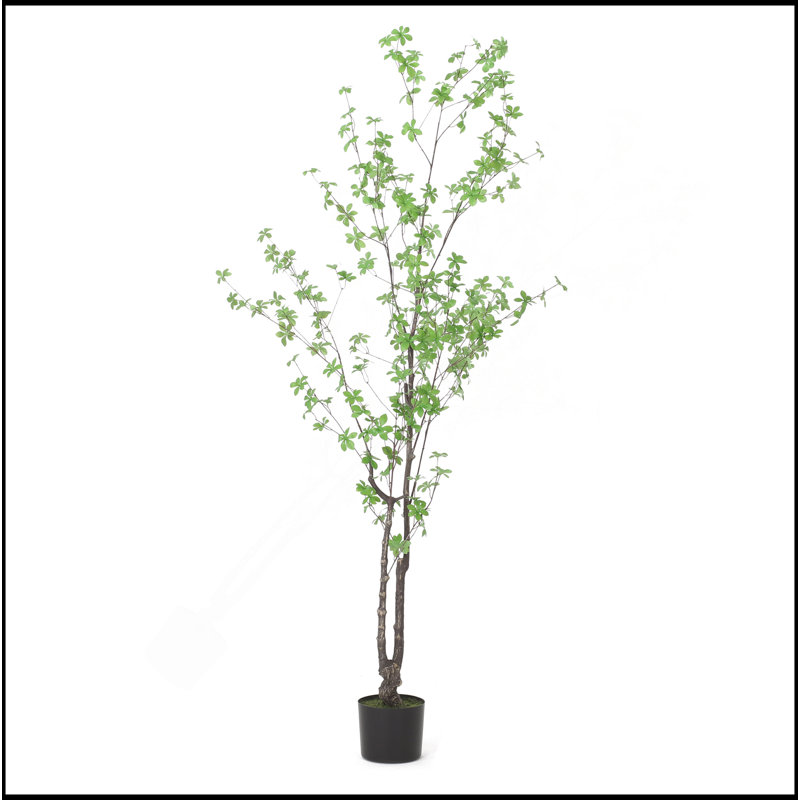 180CM ARTIFICIAL DISC LEAF TREE, 70.9" H x 35.4" W x35.4" D