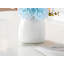 Composition d'assortiment mixte-727483285
