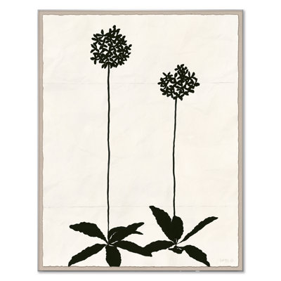 Allium (var. 2) Print by Susan Hable