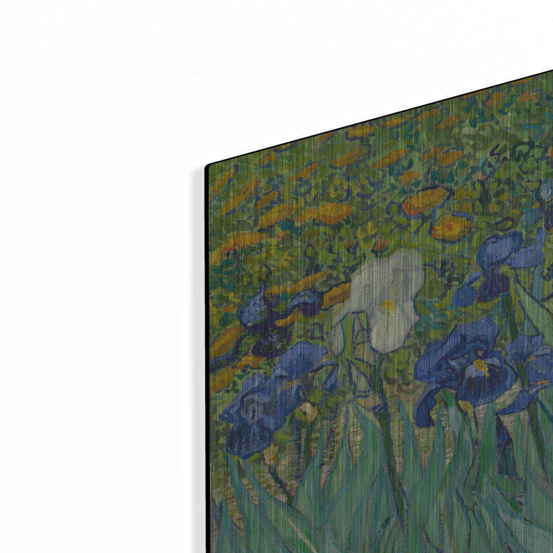 " Irises " by MASTERS, 24" H x 36" W