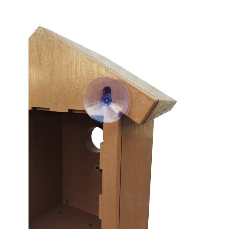 See-Through Window Birdhouses : window bird feeder