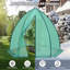 Ballarie 8 Ft W x 6.5 Ft D Mini Greenhouse