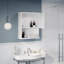 Armoire de salle de bain Mitsugu