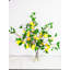 Arrangement de citron dans un vase (6 grandes tiges)