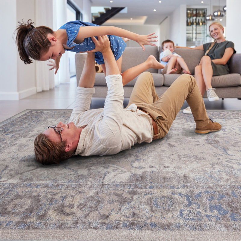 Collection  Non-Shedding Living Room Bedroom Dining Home Office Stylish And Stain Resistant Area Rug, Rectangle 7'9" x 10'