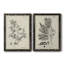 «Antique Black and White Botanical IV», ensemble de 2 reproductions d'art sur toile-1516307834-1516307832