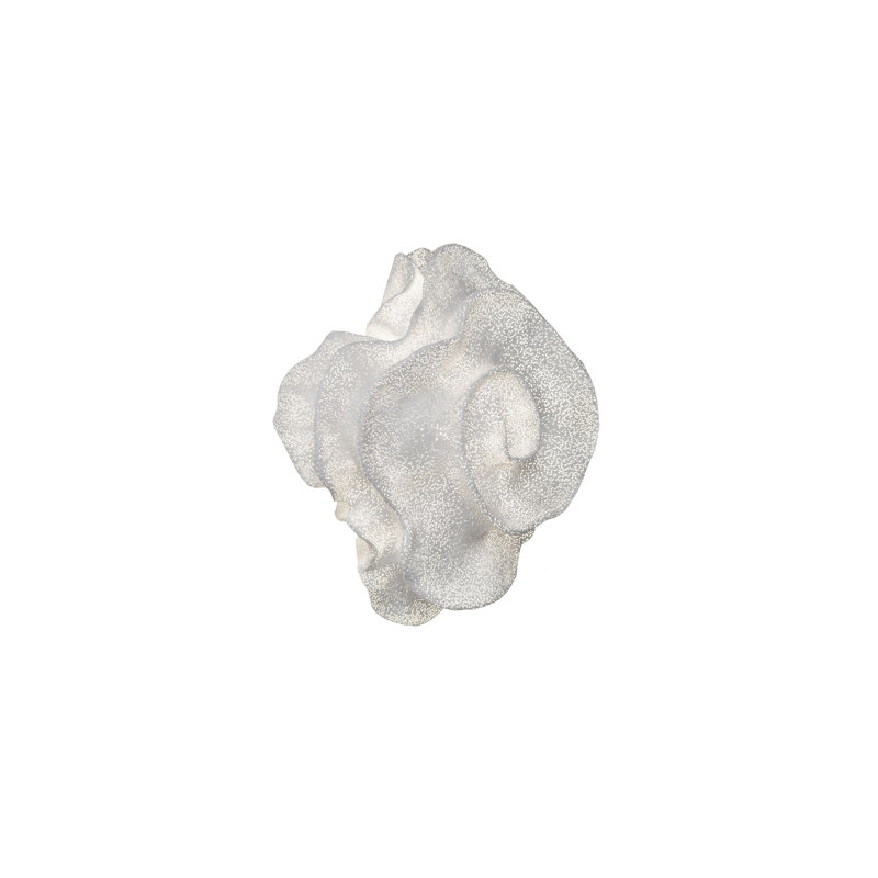 Nevo 1 - Light Flush Mounted Sconce, White, Yes