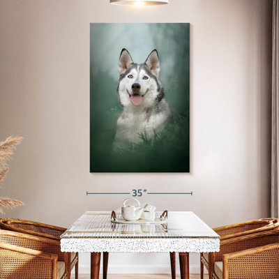 Husky On Grass