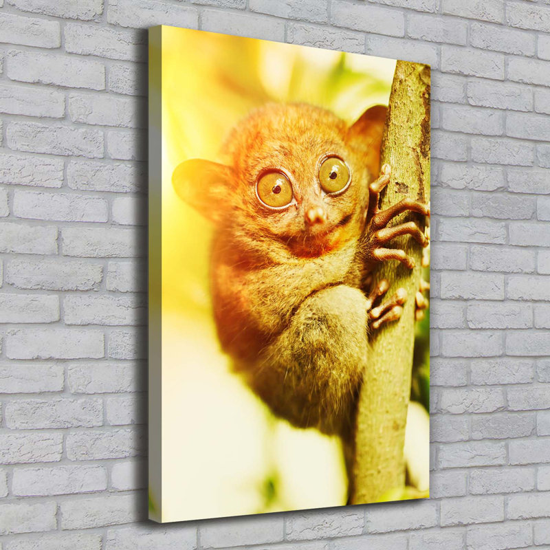 Spooky - Wrapped Canvas Print
