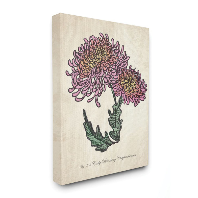 «Botanical Chrysanthemum Flower Pink Yellow», impression, Toile tendue, H 24 po x l 30 po x P 1,5 po