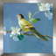 Le printemps dans le quartier V - Peinture-609486889-609486888