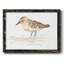 «Pretty Piper II», reproduction d'art sur toile-96281414-96281415