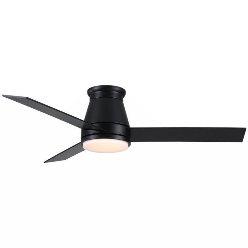 Jazyon 48'' Ceiling Fan with Light Kit, Black