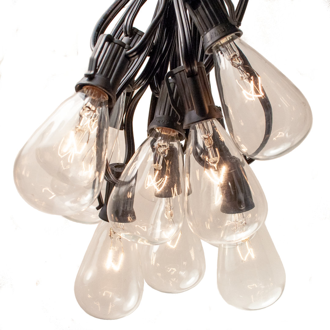 Edison String Lights 25' Outdoor 25 - Bulb Standard String Light (End to End Connectable) Hometown Evolution, Inc. Cord